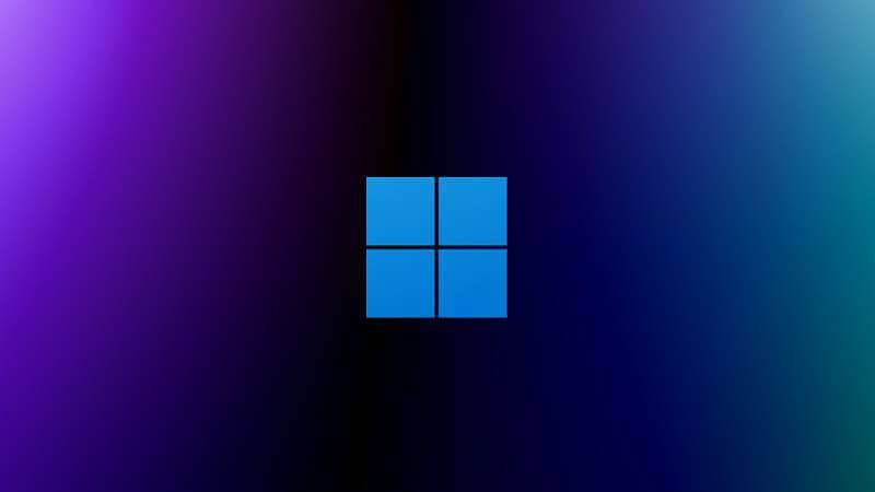 Windows 11 ltsc что это